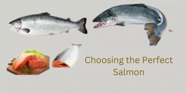 salmon baking recipes