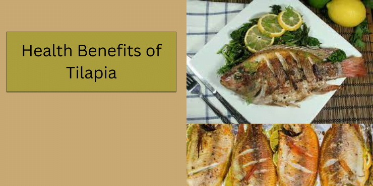 Health Benefits of Tilapia