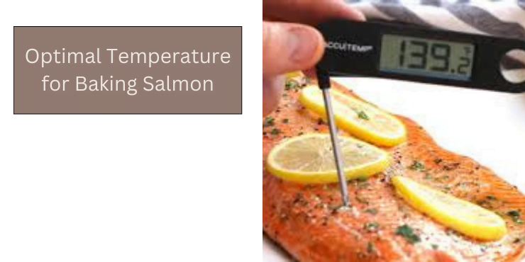 Optimal Temperature for Baking Salmon