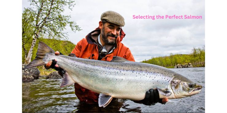 cook salmon on stove