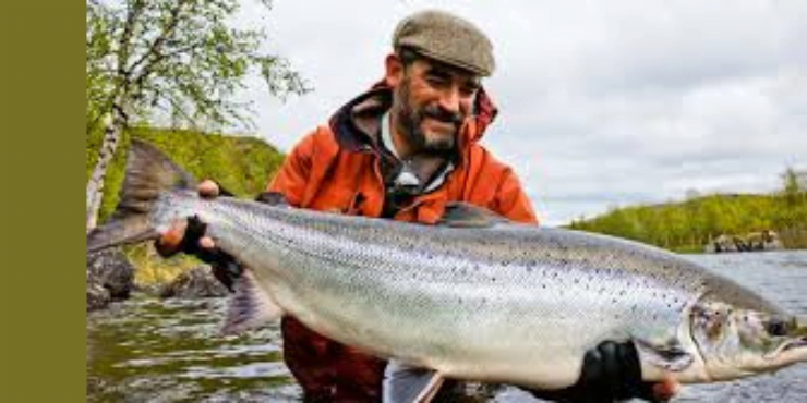 Make salmon in oven