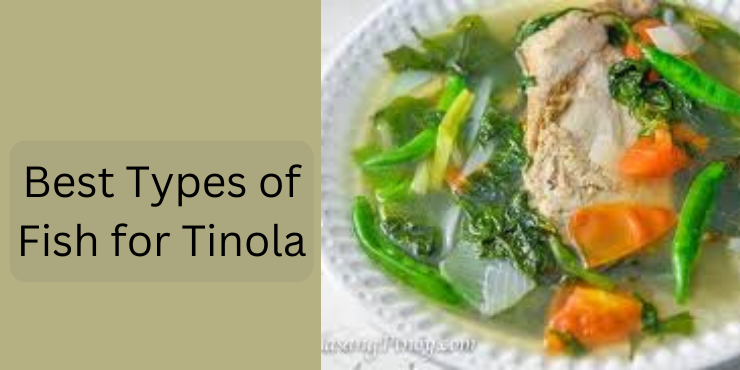 How To Make Fish Tinola Recipe Best Way 2024 » Fish Cooking