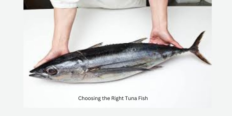 making tuna fish