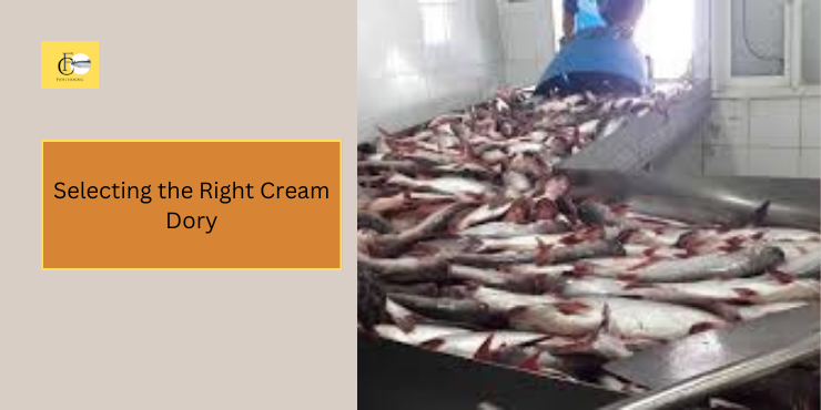 cream dory fish fillet recipe