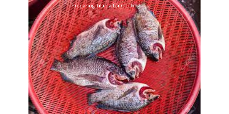 recipes for tilapia