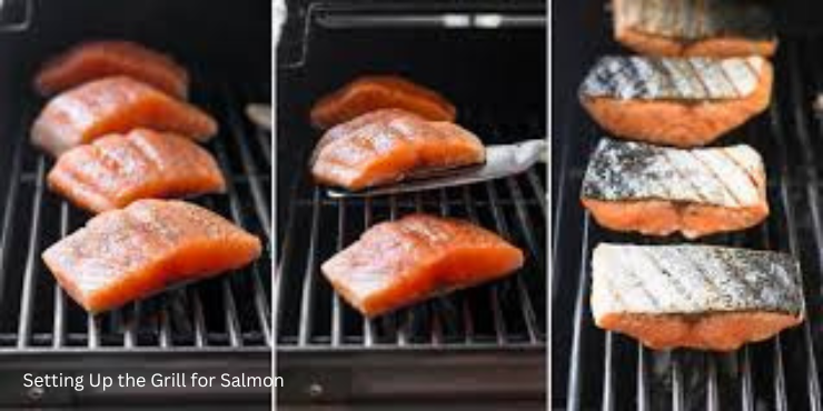 bbq salmon on grill