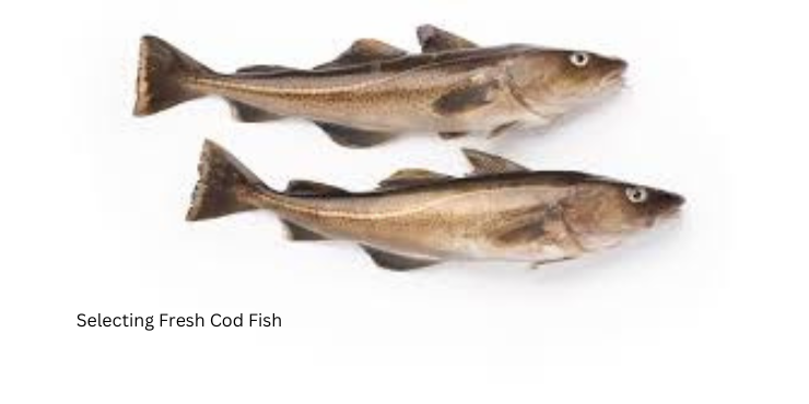 healthy cod fish recipes